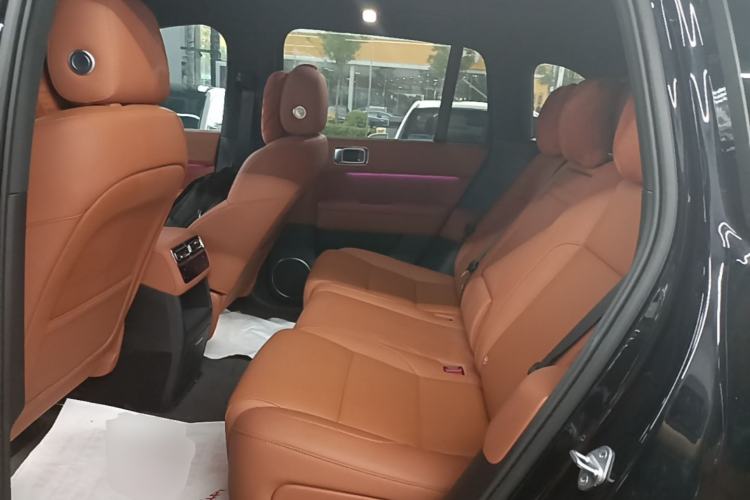 Used Li Auto L6 2024 Pro Model Left Rear Seat