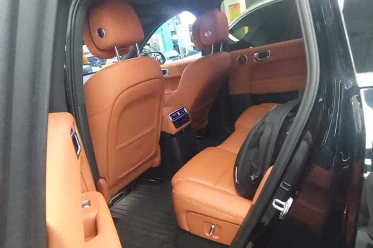 Used Li Auto L6 2024 Max Left Rear Seat
