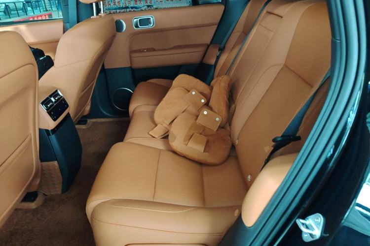 Used Li Auto L6 2024 Max Left Rear Seat