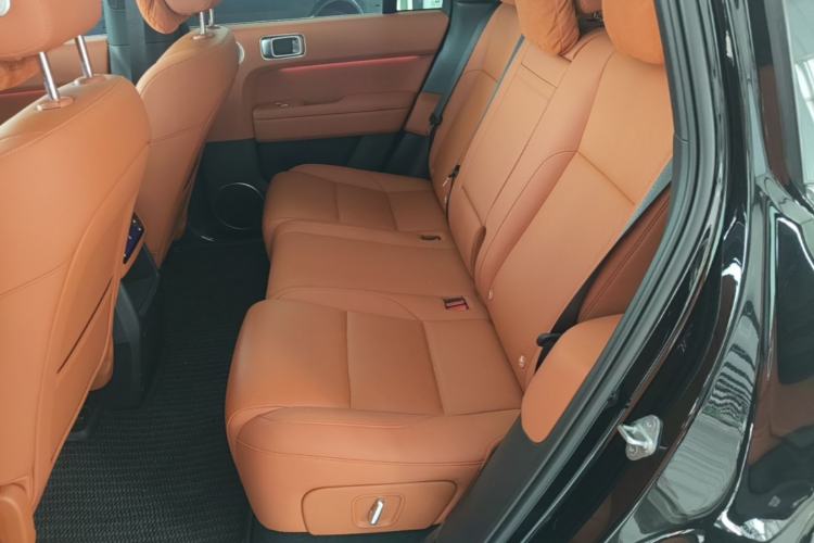 Used Li Auto L6 2024 Pro Model Left Rear Seat