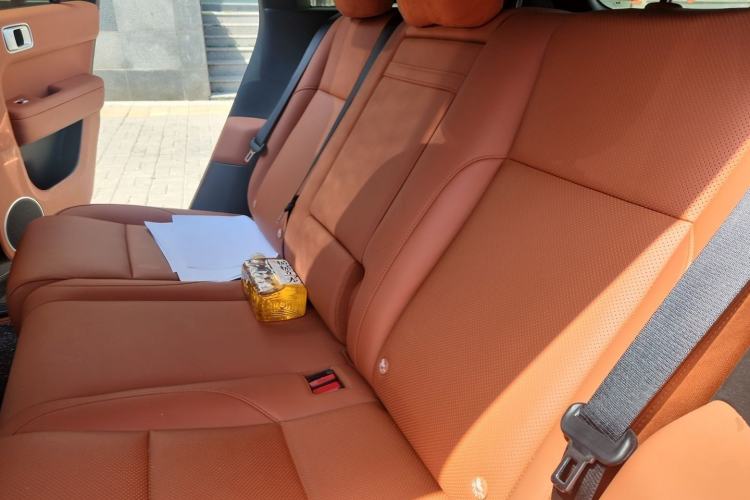 Used Li Auto L6 2024 Pro Model Left Rear Seat