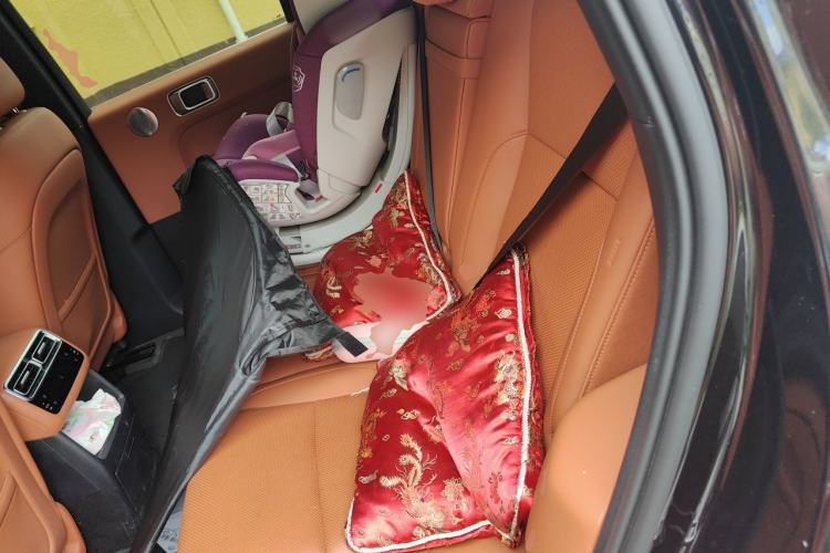 Used Li Auto L6 2024 Pro Model Left Rear Seat