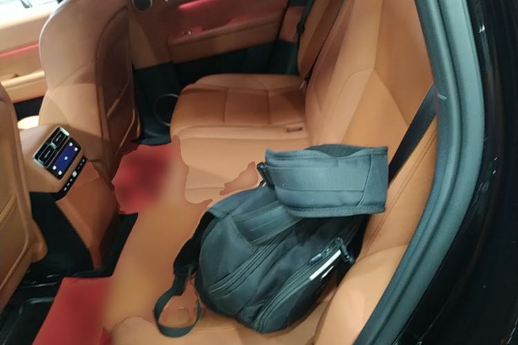 Used Li Auto L6 2024 Max Left Rear Seat