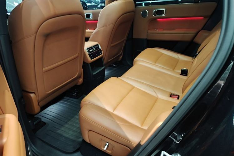 Used Li Auto L6 2024 Pro Model Left Rear Seat