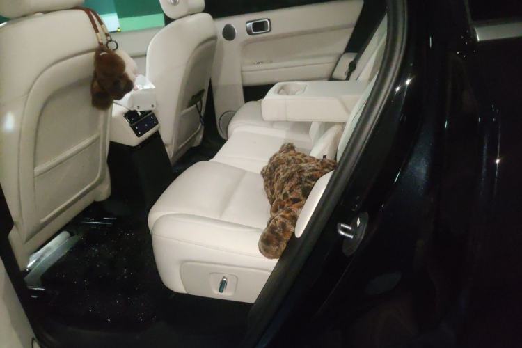 Used Li Auto L6 2024 Max Left Rear Seat