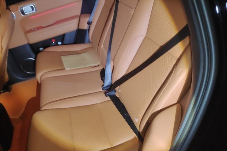 Used Li Auto L6 2024 Pro Model Left Rear Seat