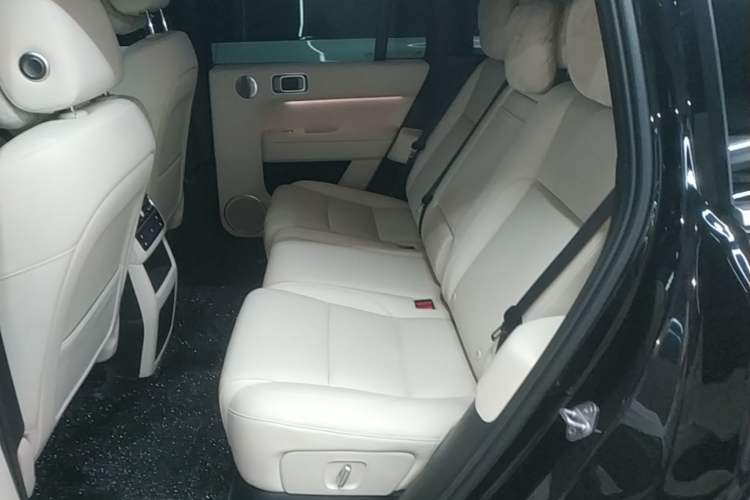 Used Li Auto L6 2024 Pro Model Left Rear Seat