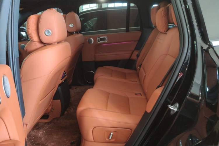 Used Li Auto L6 2024 Max Left Rear Seat