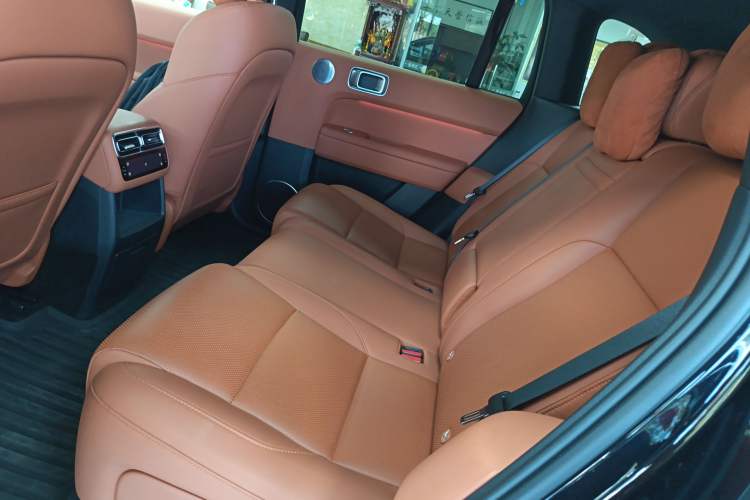 Used Li Auto L6 2024 Pro Model Left Rear Seat