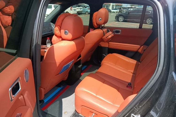 Used Li Auto L6 2024 Pro Model Left Rear Seat