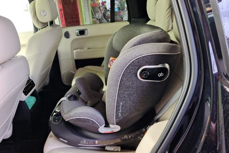 Used Li Auto L6 2024 Pro Model Left Rear Seat