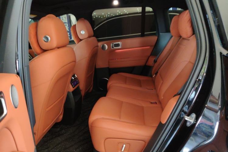 Used Li Auto L6 2024 Pro Model Left Rear Seat