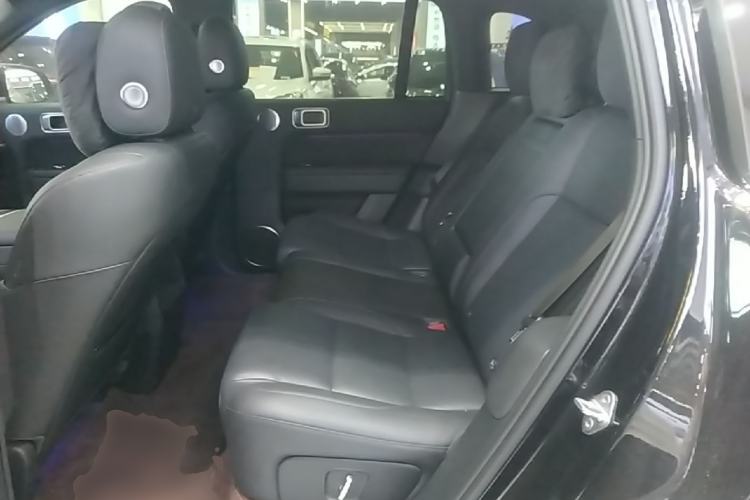 Used Li Auto L6 2024 Pro Model Left Rear Seat