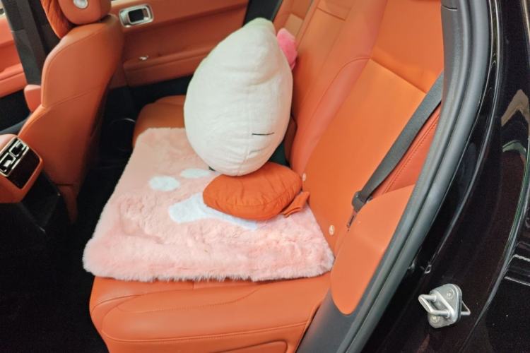 Used Li Auto L6 2024 Pro Model Left Rear Seat