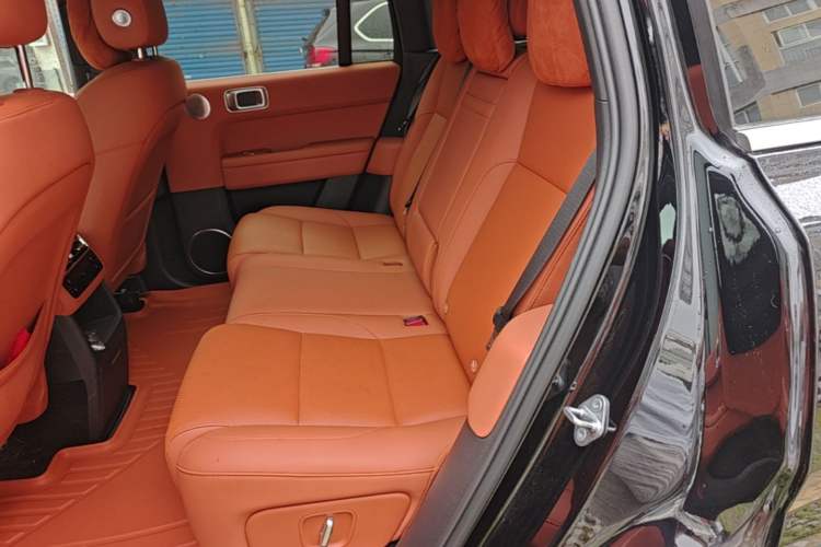 Used Li Auto L6 2024 Pro Model Left Rear Seat
