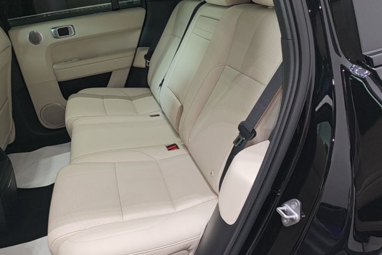 Used Li Auto L6 2024 Pro Model Left Rear Seat