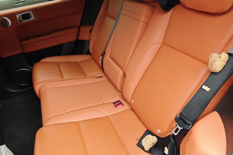 Used Li Auto L6 2024 Pro Model Left Rear Seat