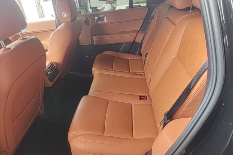 Used Li Auto L6 2024 Max Left Rear Seat
