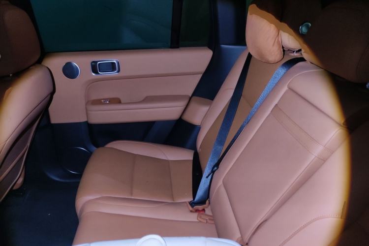 Used Li Auto L6 2024 Max Left Rear Seat