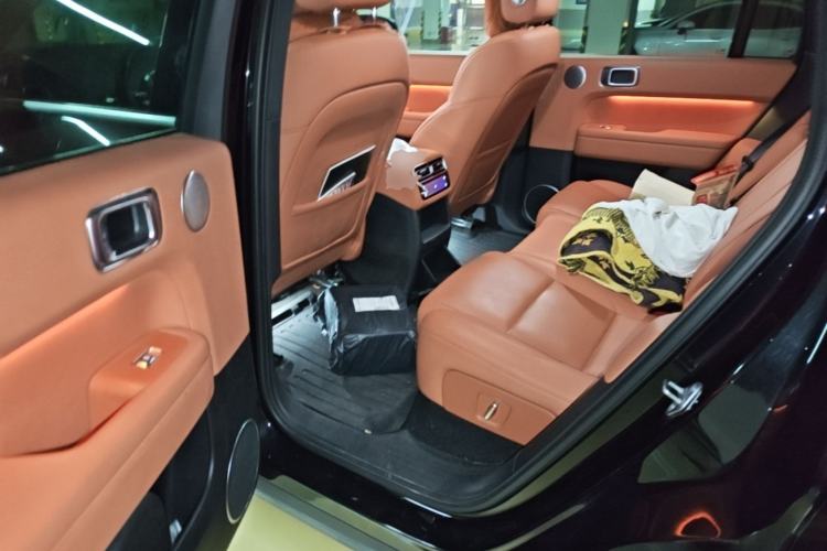 Used Li Auto L6 2024 Pro Model Left Rear Seat