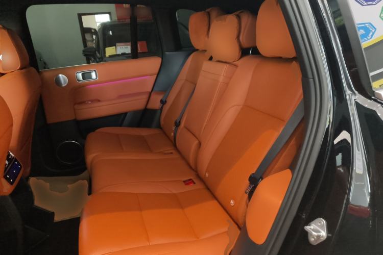 Used Li Auto L6 2024 Pro Model Left Rear Seat