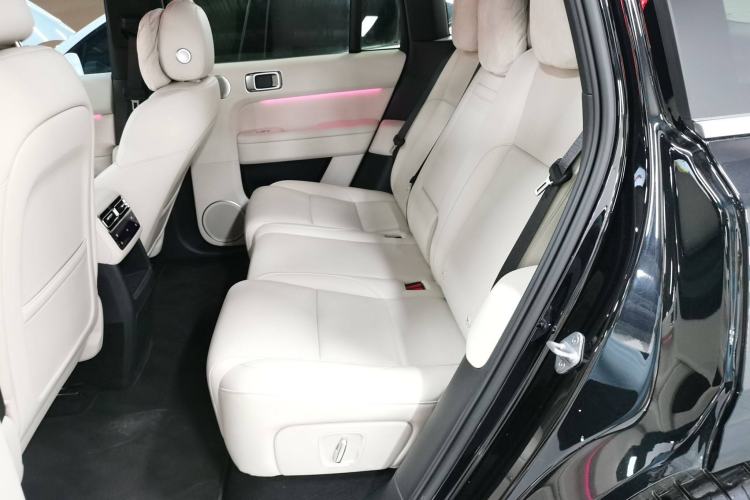 Used Li Auto L6 2024 Pro Model Left Rear Seat