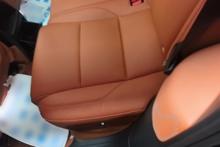 Used Li Auto L6 2024 Pro Model Left Rear Seat