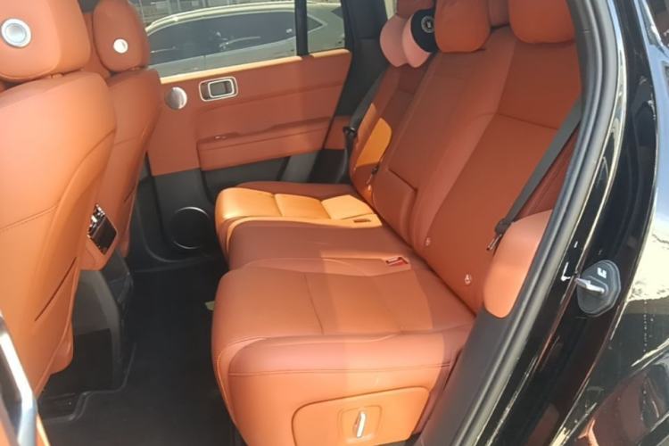 Used Li Auto L6 2024 Pro Model Left Rear Seat