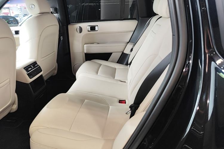 Used Li Auto L6 2024 Pro Model Left Rear Seat
