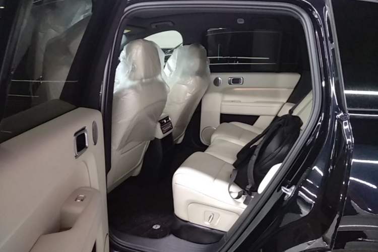 Used Li Auto L6 2024 Pro Model Left Rear Seat
