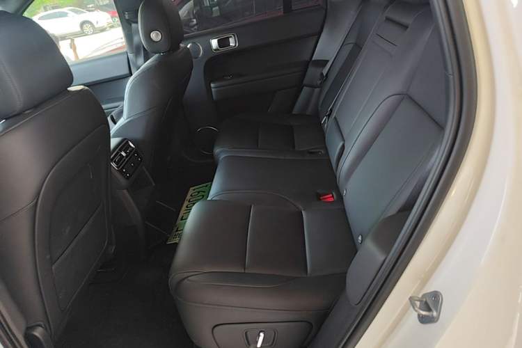 Used Li Auto L6 2024 Pro Model Left Rear Seat