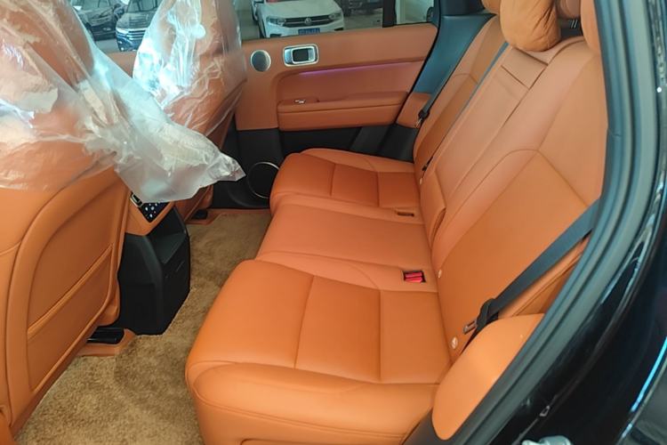 Used Li Auto L6 2024 Pro Model Left Rear Seat