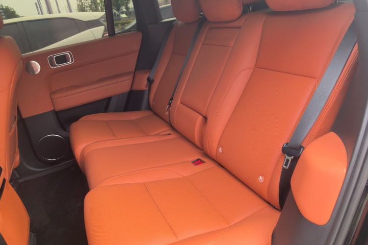 Used Li Auto L6 2024 Max Left Rear Seat