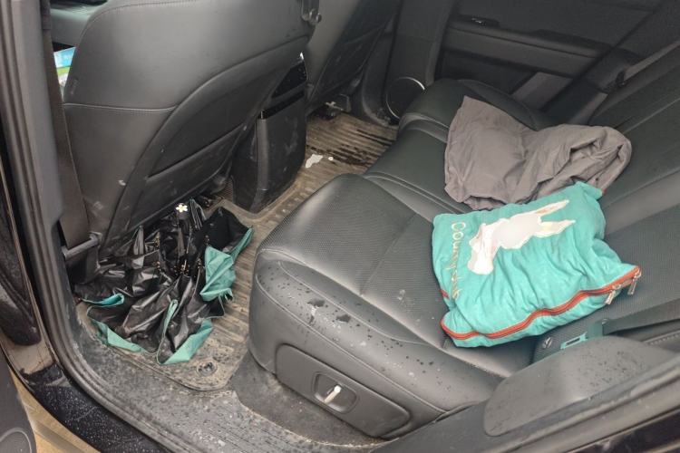 Used Li Auto L6 2024 Max Left Rear Seat