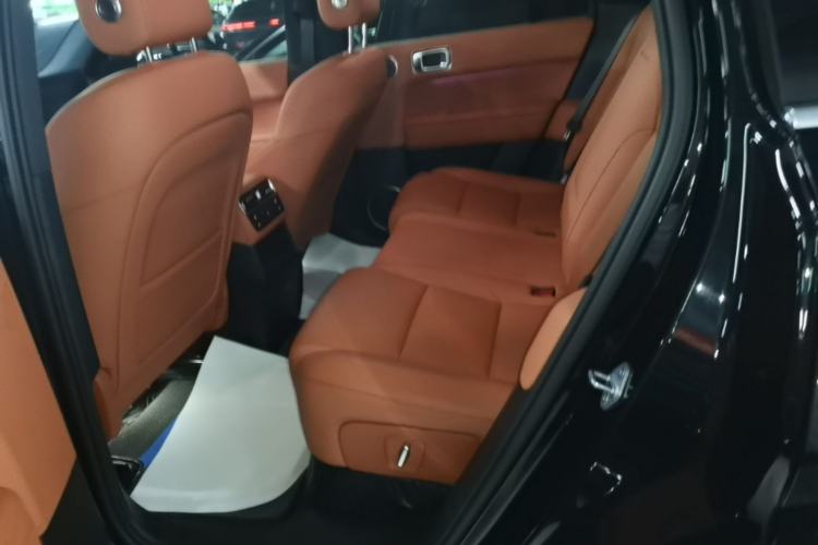 Used Li Auto L6 2024 Pro Model Left Rear Seat