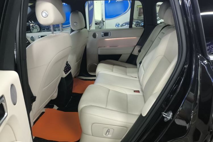 Used Li Auto L6 2024 Pro Model Left Rear Seat