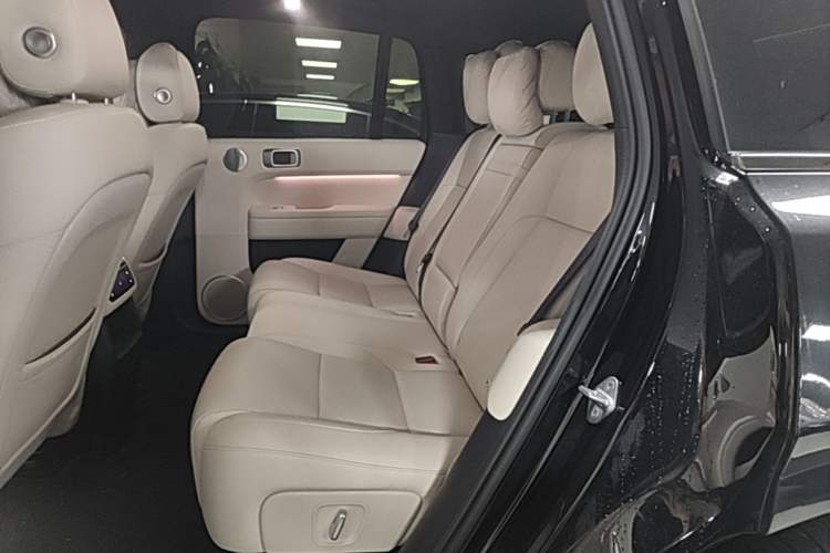 Used Li Auto L6 2024 Pro Model Left Rear Seat
