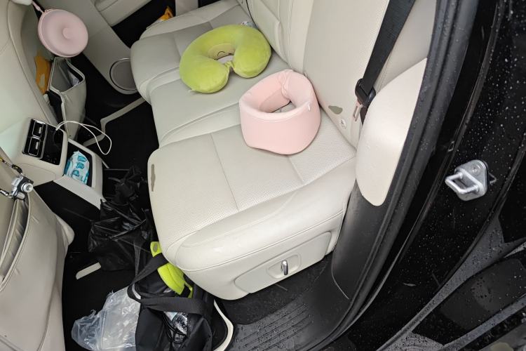 Used Li Auto L6 2024 Pro Model Left Rear Seat