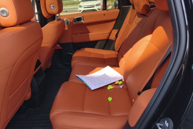 Used Li Auto L6 2024 Pro Model Left Rear Seat