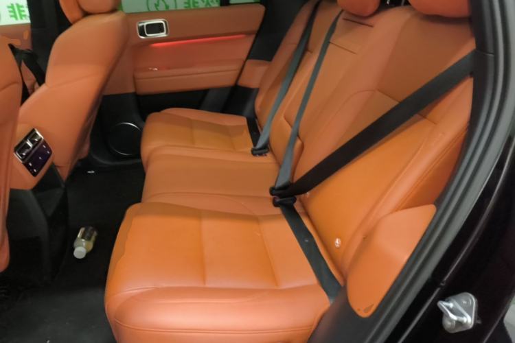 Used Li Auto L6 2024 Pro Model Left Rear Seat