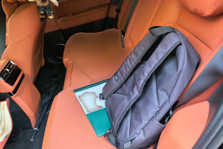 Used Li Auto L6 2024 Max Left Rear Seat