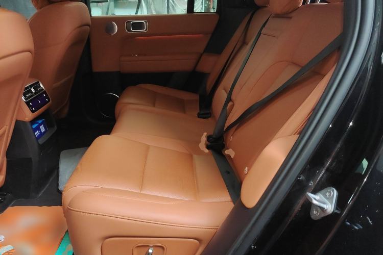 Used Li Auto L6 2024 Pro Model Left Rear Seat