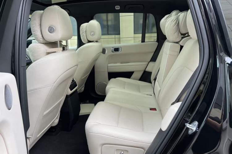 Used Li Auto L6 2024 Max Left Rear Seat