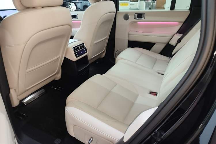 Used Li Auto L6 2024 Pro Model Left Rear Seat