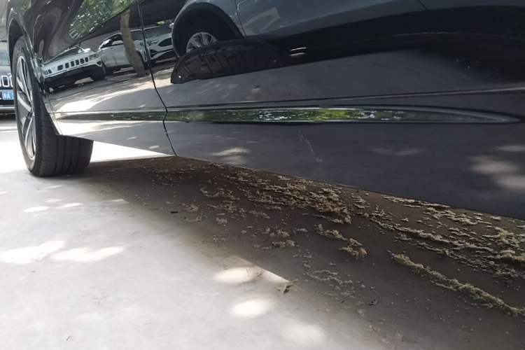 Used Li Auto L6 2024 Pro Model Left Side Sill