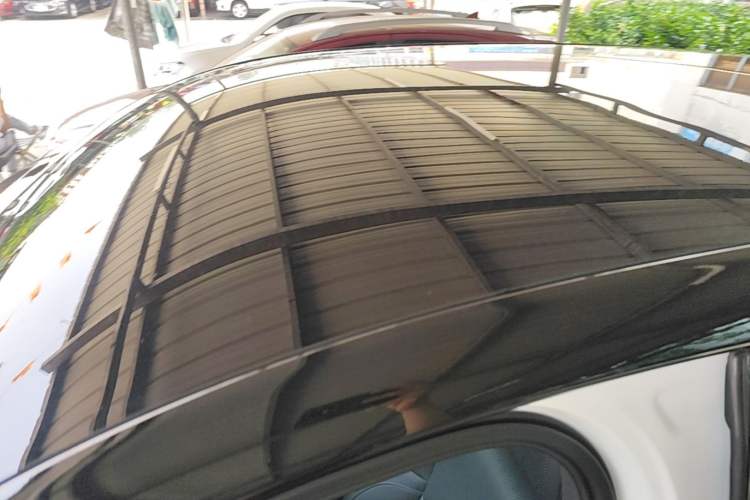 Used Li Auto L6 2024 Pro Model Roof