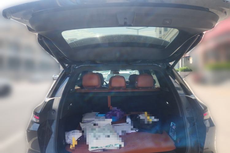 Used Li Auto L6 2024 Pro Model Trunk