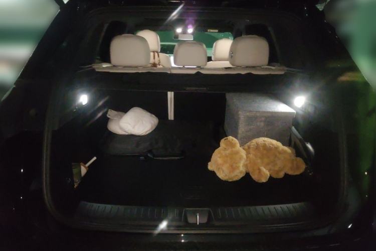 Used Li Auto L6 2024 Max Trunk
