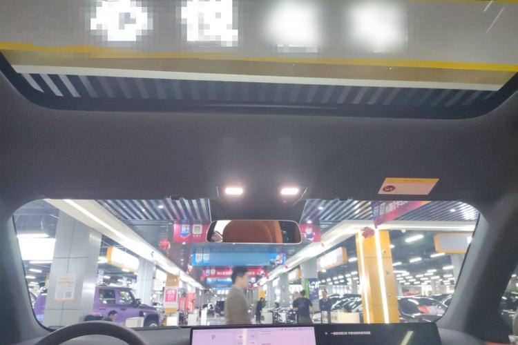 Used Li Auto L6 2024 Pro Model Headliner