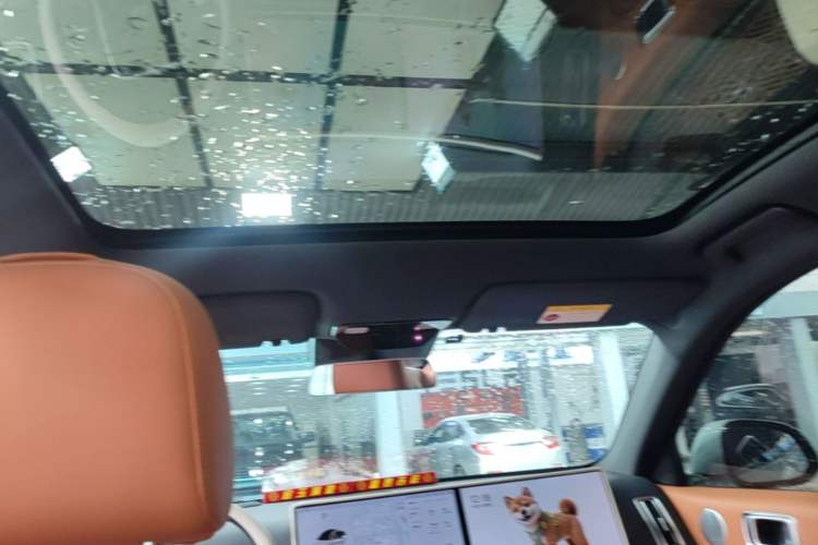 Used Li Auto L6 2024 Pro Model Headliner